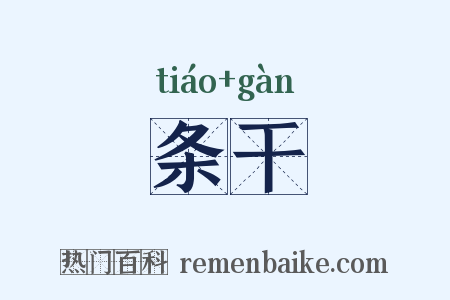 条干是什么意思的图片